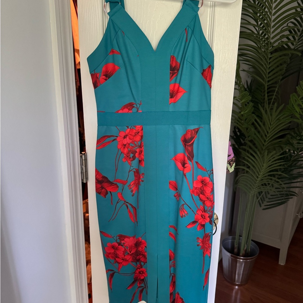 Ted Baker Floral Teal and Red Women Dress